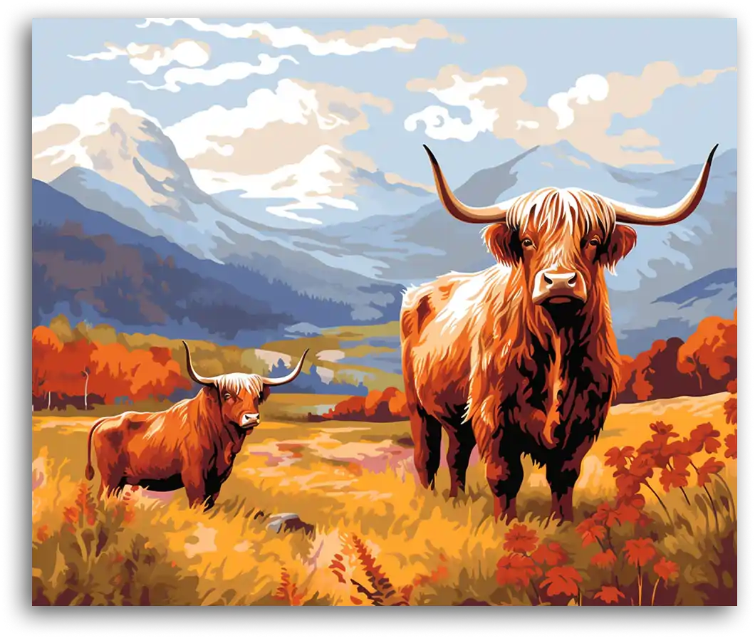 A Highland Cattle Pasture - Paint by Numbers