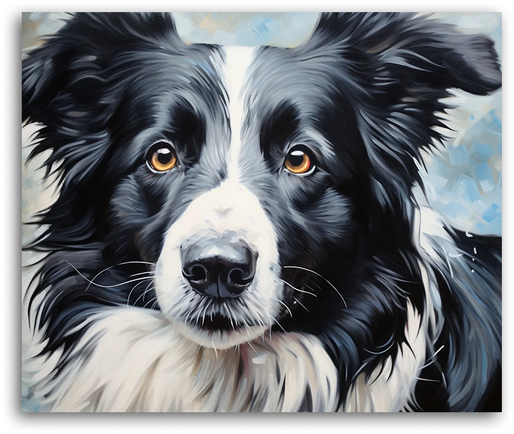Loyal Border Collie Portrait - Paint by Numbers